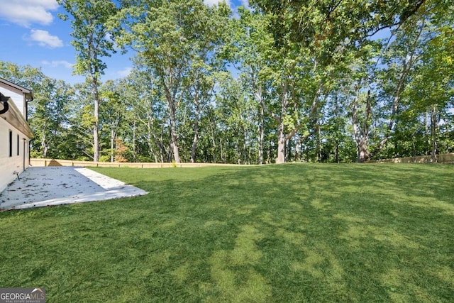 view of yard featuring a patio