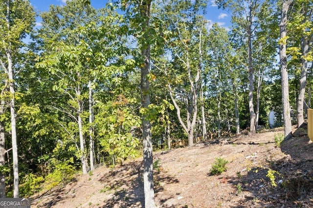 view of local wilderness