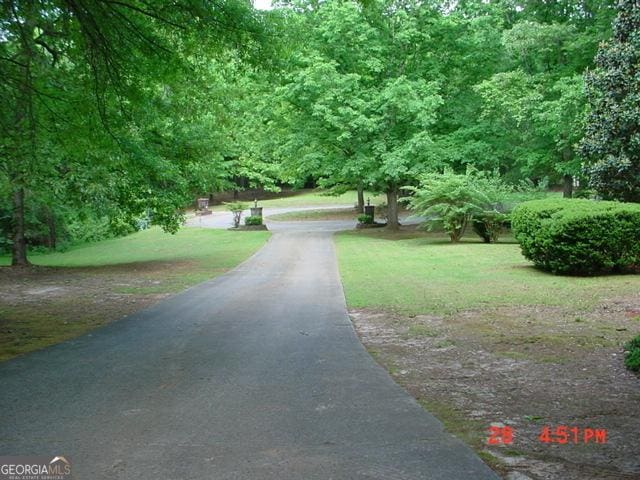 view of community featuring a yard