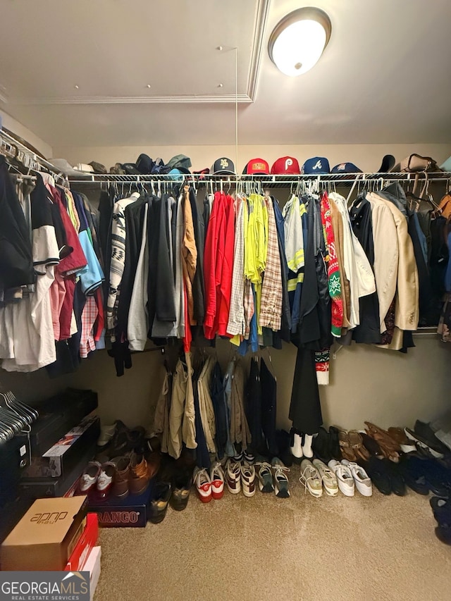 walk in closet featuring carpet floors