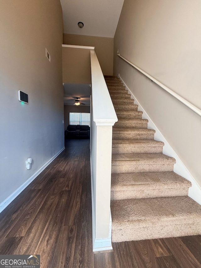 staircase with ceiling fan and hardwood / wood-style floors