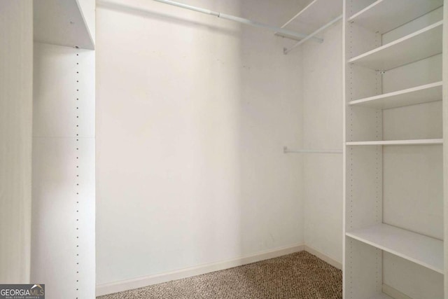 walk in closet featuring carpet