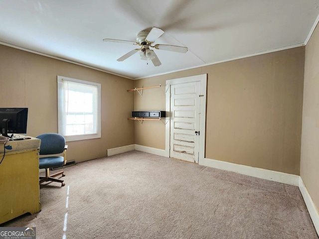 office space with crown molding, ceiling fan, and carpet