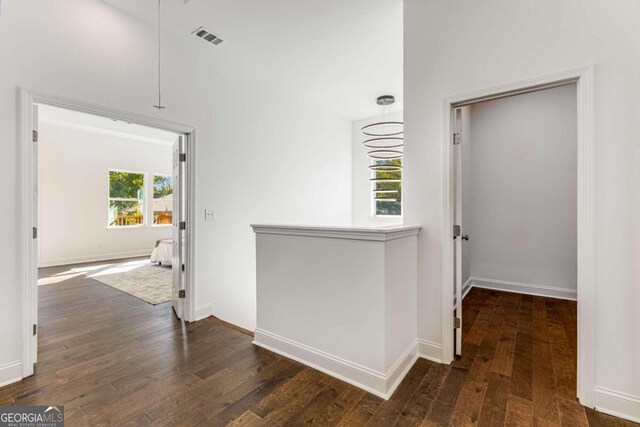 corridor with dark hardwood / wood-style floors and a wealth of natural light