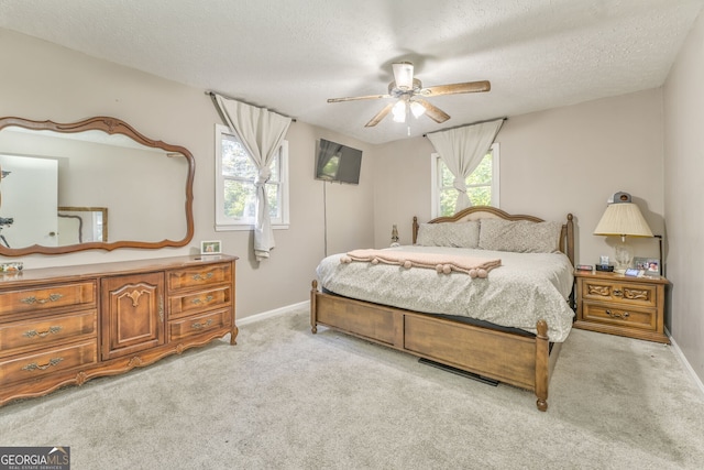 bedroom featuring multiple windows, baseboards, a textured ceiling, and light colored carpet