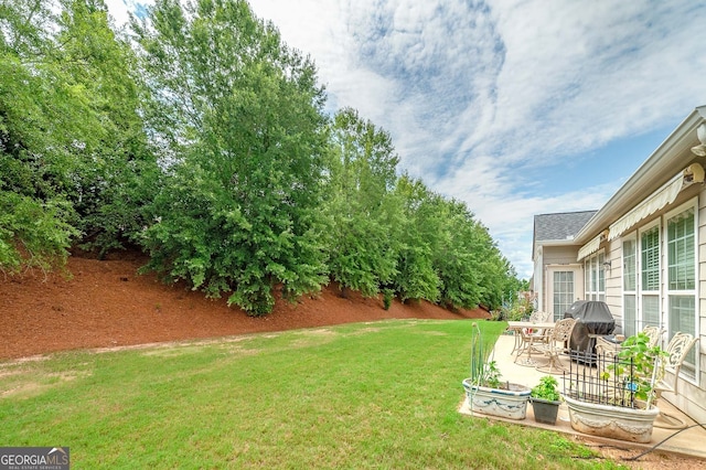 view of yard featuring a patio