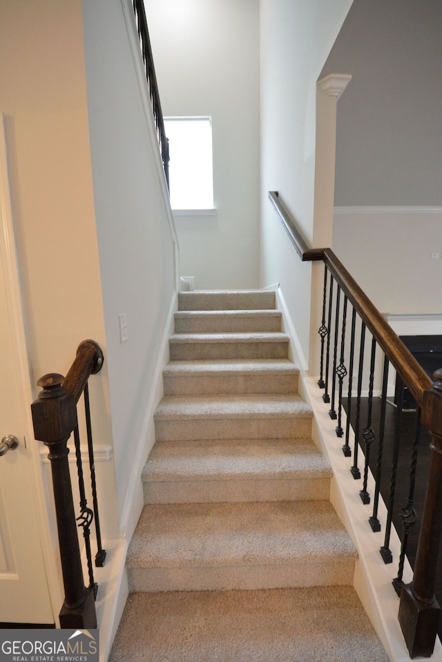 stairs featuring carpet floors