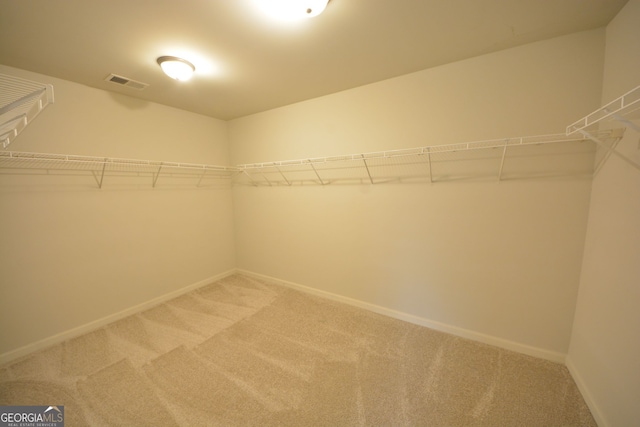 walk in closet with carpet