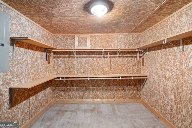 spacious closet featuring carpet flooring