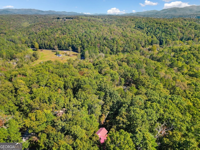 drone / aerial view with a mountain view