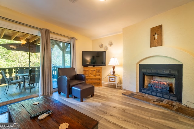 living room featuring wood-type flooring