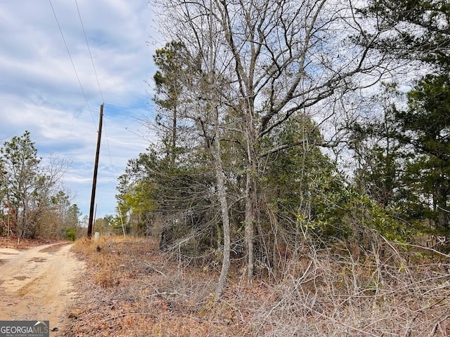 80 Wood St, Butler GA, 31006 land for sale