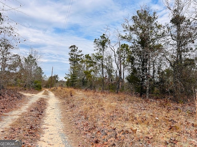 Listing photo 2 for 80 Wood St, Butler GA 31006