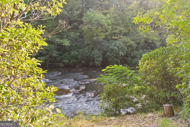 view of local wilderness