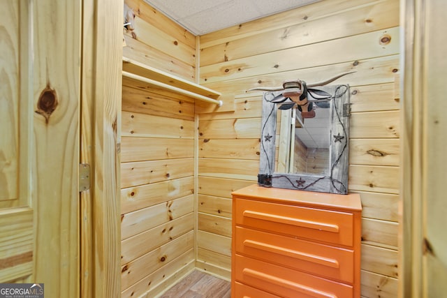 walk in closet featuring wood-type flooring