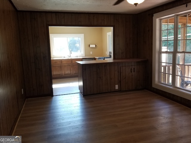 interior space featuring wooden walls and dark hardwood / wood-style floors