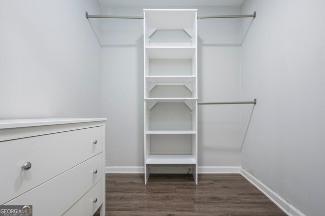 walk in closet with dark wood-type flooring