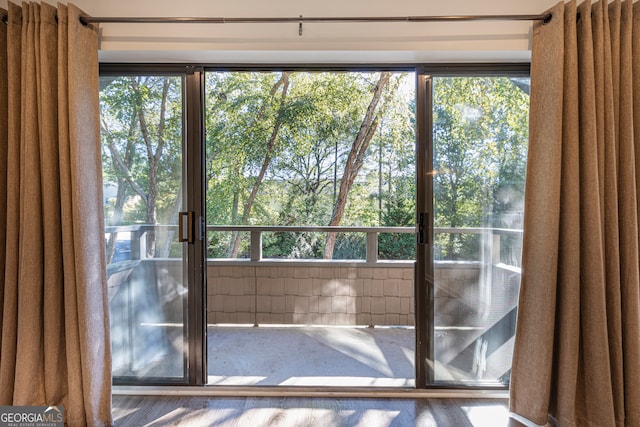 doorway featuring wood-type flooring