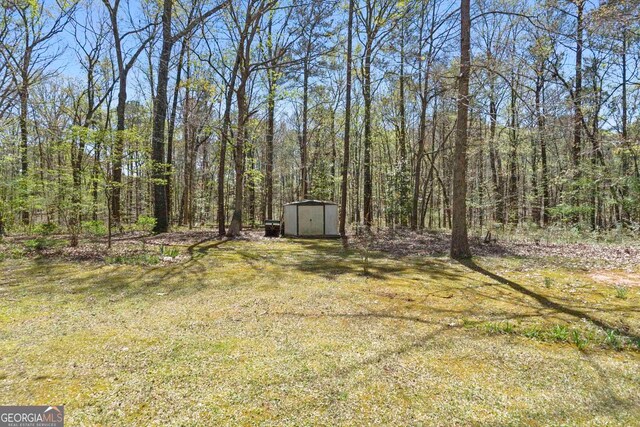 view of yard featuring a shed