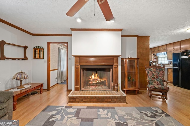 living room with ornamental molding, a fireplace, light hardwood / wood-style floors, and a textured ceiling