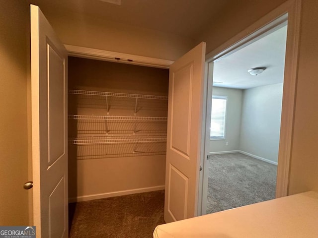 view of closet