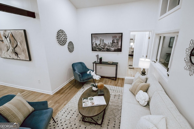 living room featuring hardwood / wood-style floors