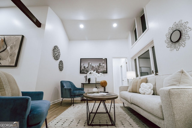 living room featuring wood-type flooring