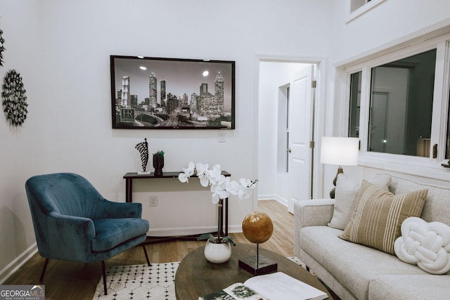 1466 Hardin Ave, Atlanta, GA 30337 - living room with baseboards, wood finished floors, and a high ceiling