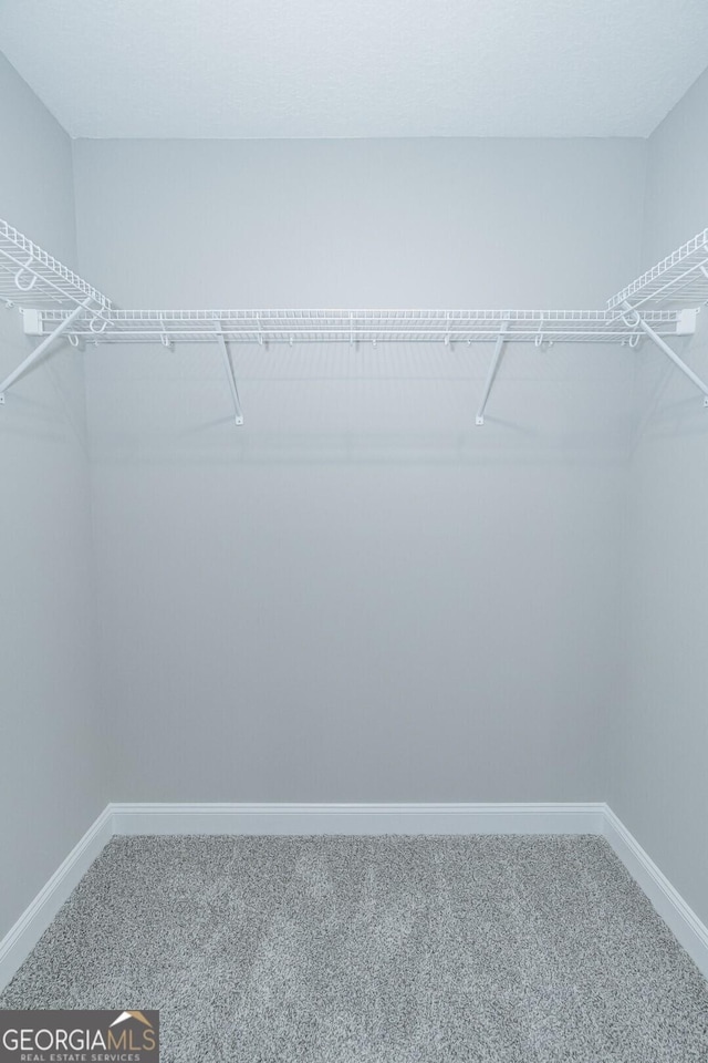 133 Amanda Trce, Kingsland, GA 31548 - walk in closet with carpet
