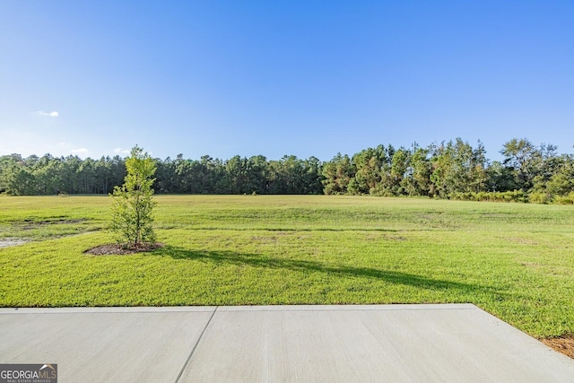 133 Amanda Trce, Kingsland, GA 31548 - view of green lawn