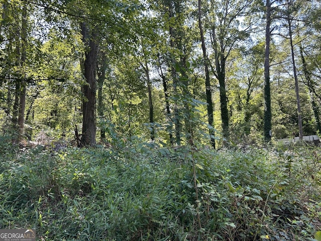 view of landscape with a wooded view