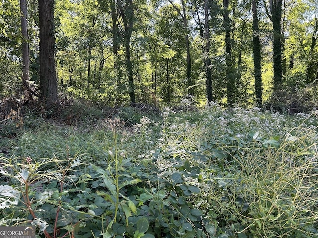 view of local wilderness featuring a wooded view