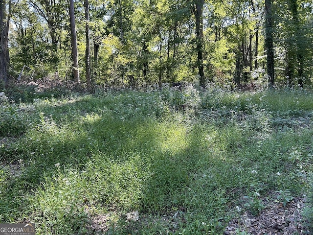 view of landscape featuring a forest view