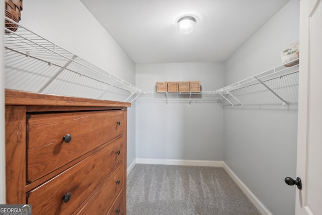 spacious closet featuring carpet floors