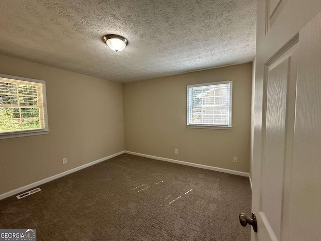 carpeted empty room featuring plenty of natural light and a textured ceiling