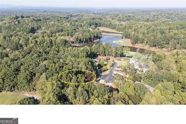 Listing photo 2 for 250 Hawks Lake Dr, Ball Ground GA 30107