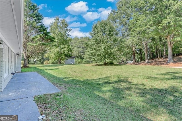 view of yard with a storage shed and a patio area