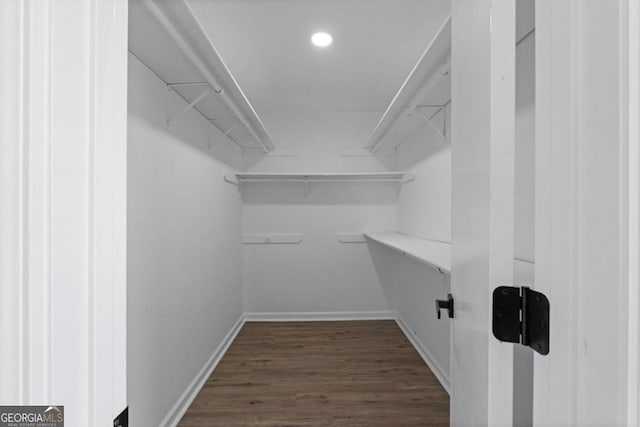 walk in closet featuring dark hardwood / wood-style flooring