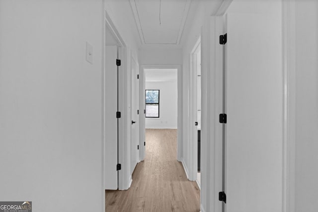 corridor featuring light hardwood / wood-style flooring