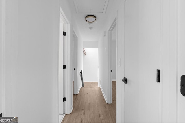 hallway with light hardwood / wood-style flooring