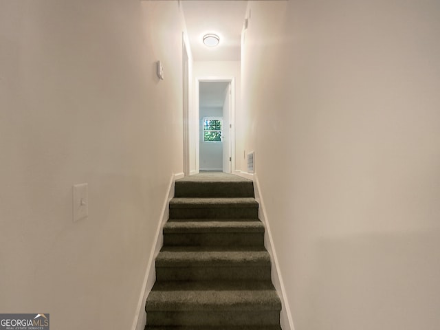 staircase with carpet flooring