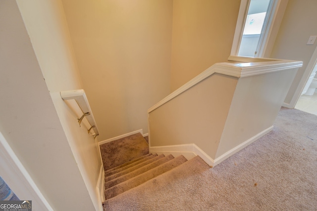 staircase with carpet