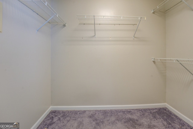 walk in closet featuring carpet flooring