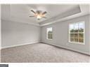 carpeted spare room featuring ceiling fan and a tray ceiling