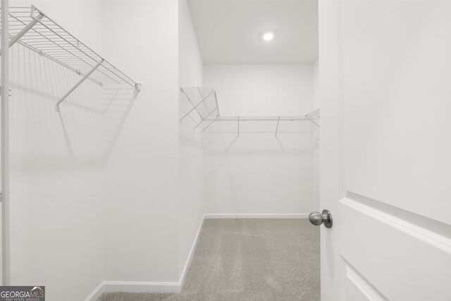 spacious closet with carpet floors