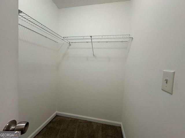 walk in closet with dark colored carpet