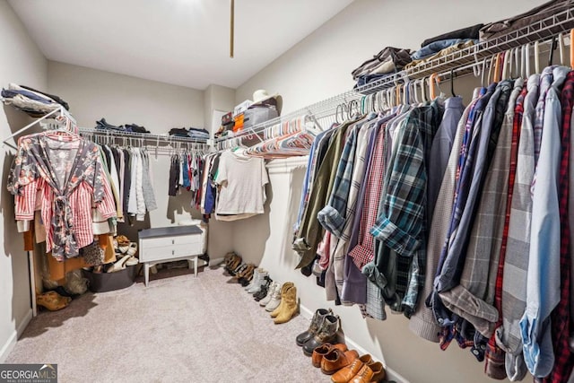 spacious closet featuring carpet floors