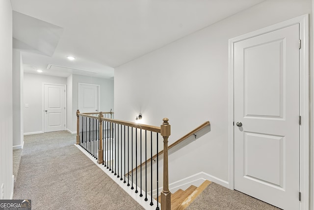 hallway featuring carpet floors