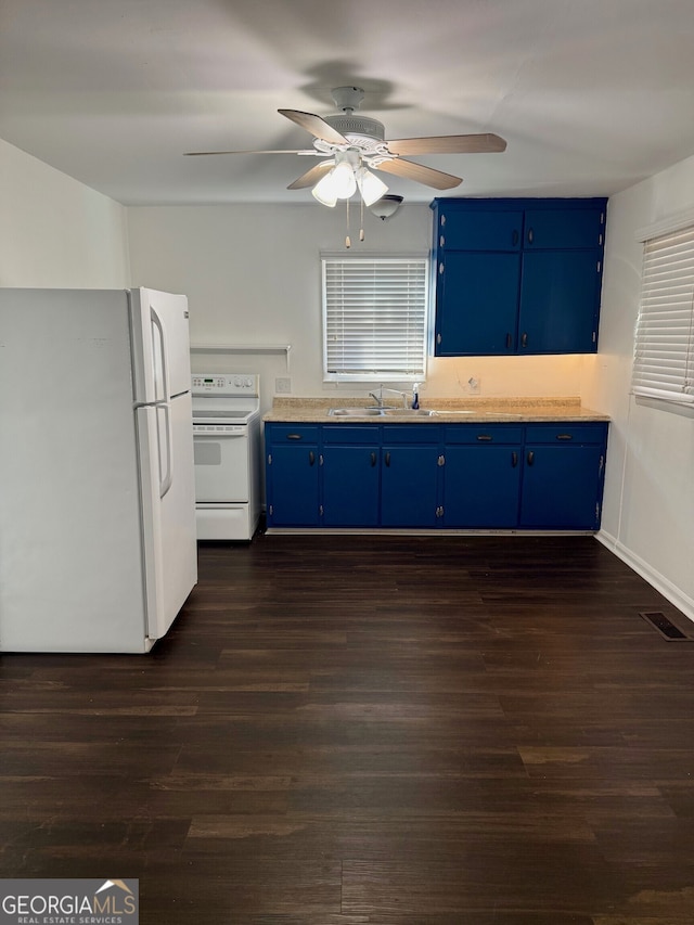 kitchen with sink, blue cabinets, white appliances, and dark hardwood / wood-style flooring