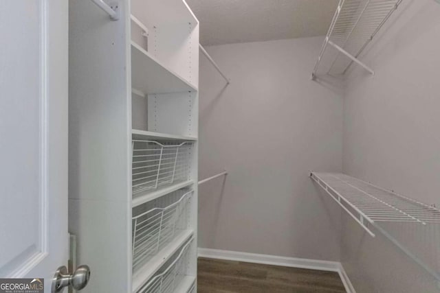 970 Sidney Marcus Blvd NE Unit 1204, Atlanta, GA 30324 - walk in closet with dark wood finished floors